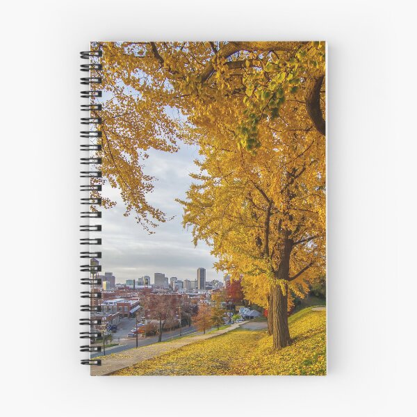 Item preview, Autumn in Richmond designed and sold by Dave Parrish Photography.