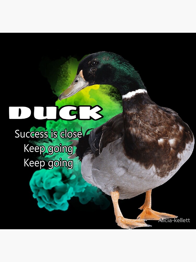 Duck symbolism by Alicia-kellett