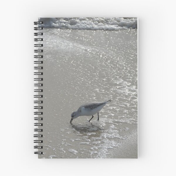 Item preview, sandpiper designed and sold by Harrisonphoto.