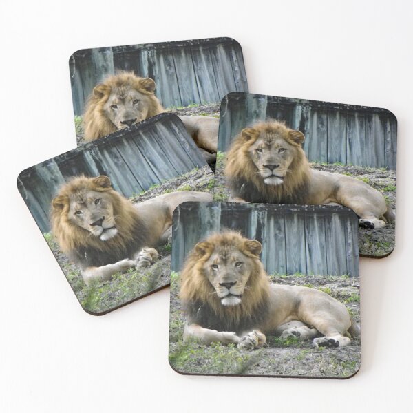 Item preview, King of the Beasts designed and sold by Bob Hardy.