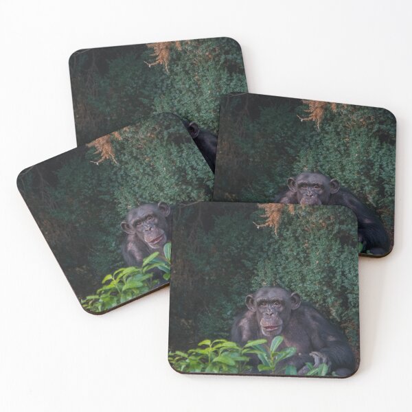 Item preview, Monkey in Bushes designed and sold by Leehopko.