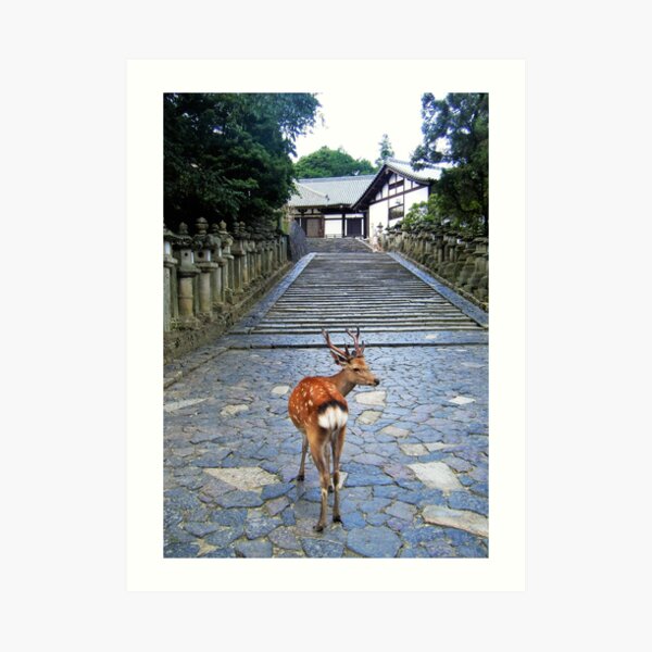 Nara 1 Art Print