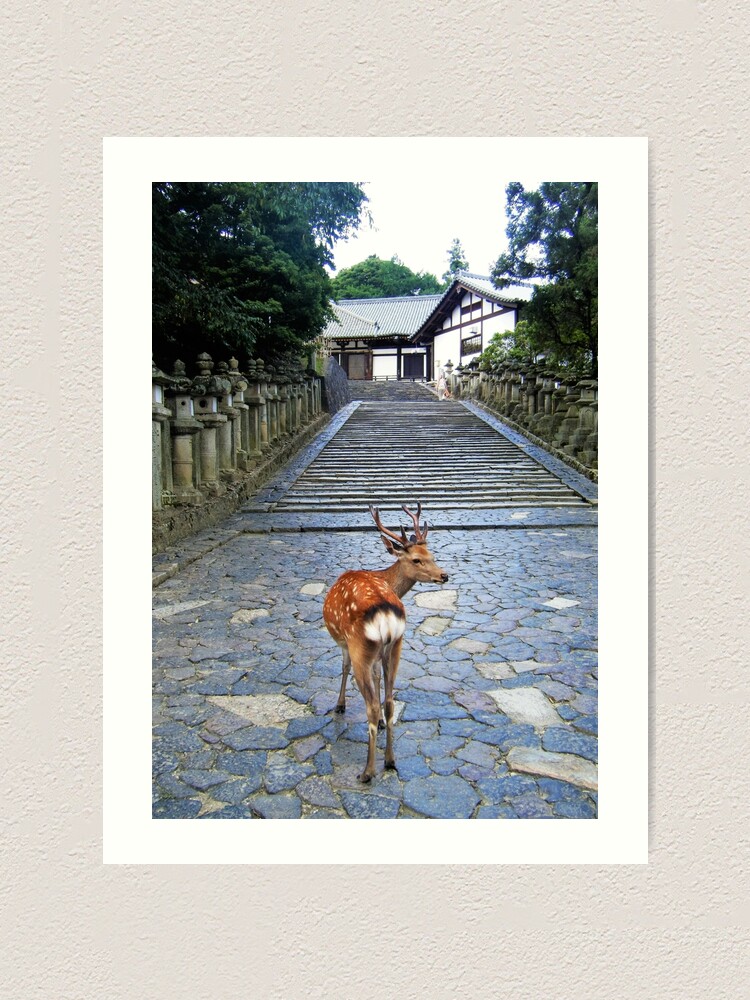 Alternate view of Nara 1 Art Print