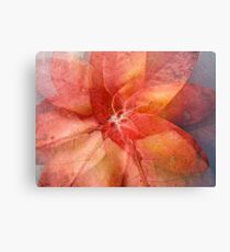 Patterned pinkness Canvas Print