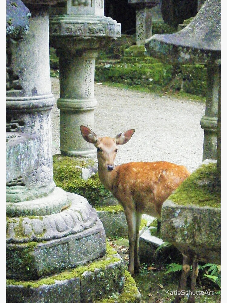 Nara 2 by KatieSchutteArt