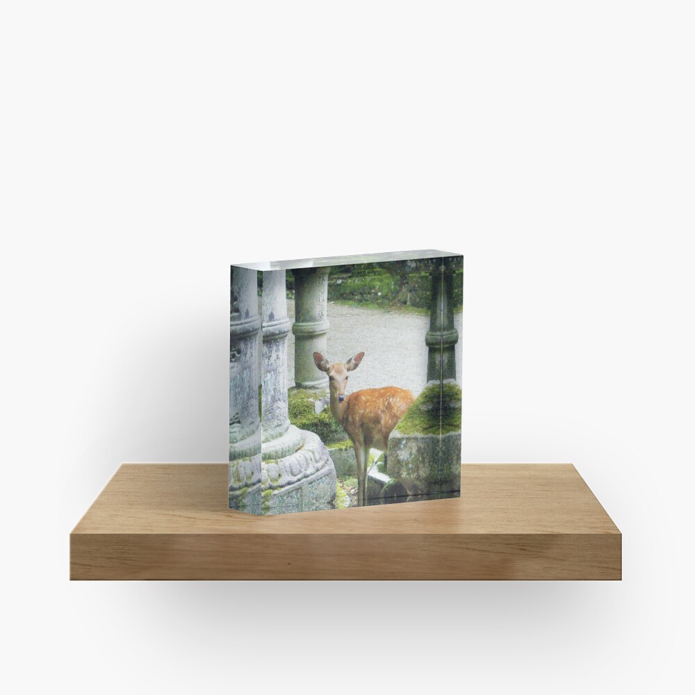 Item preview, Acrylic Block designed and sold by KatieSchutteArt.