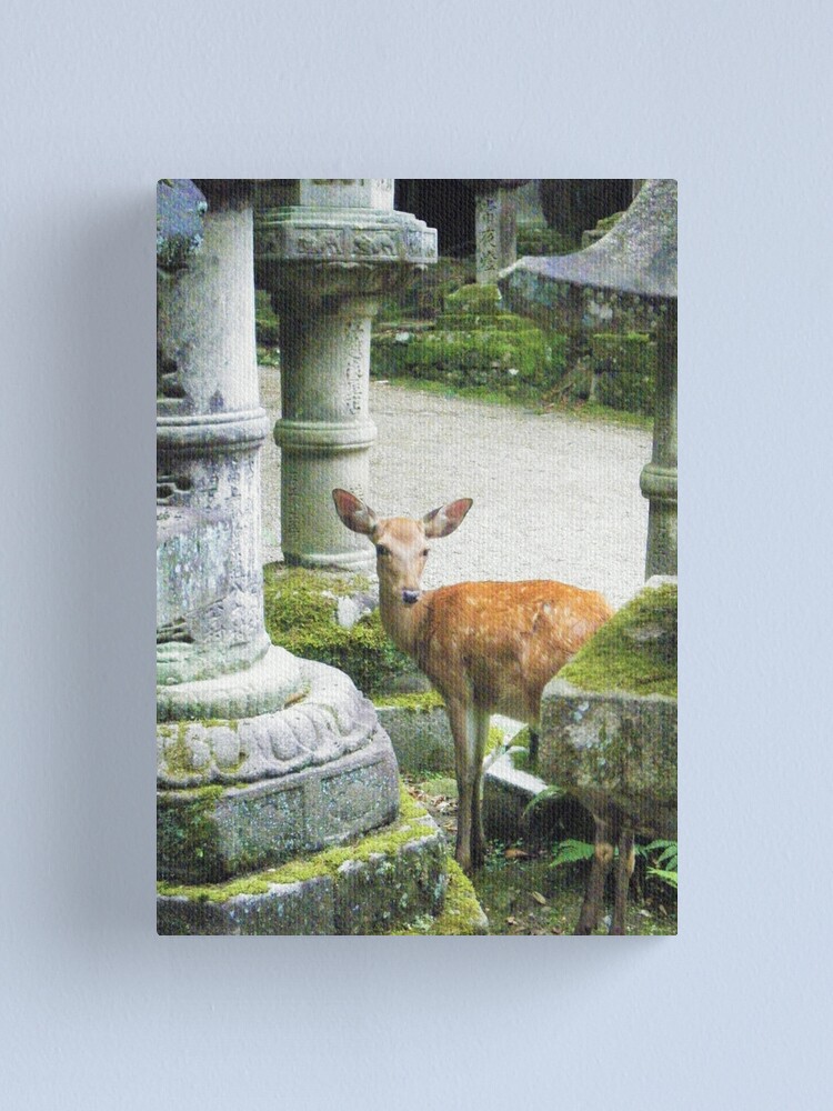 Alternate view of Nara 2 Canvas Print