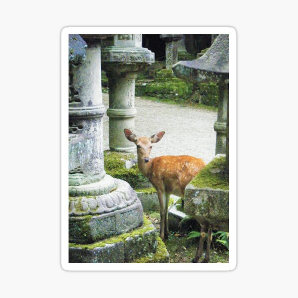 Nara 2 Sticker