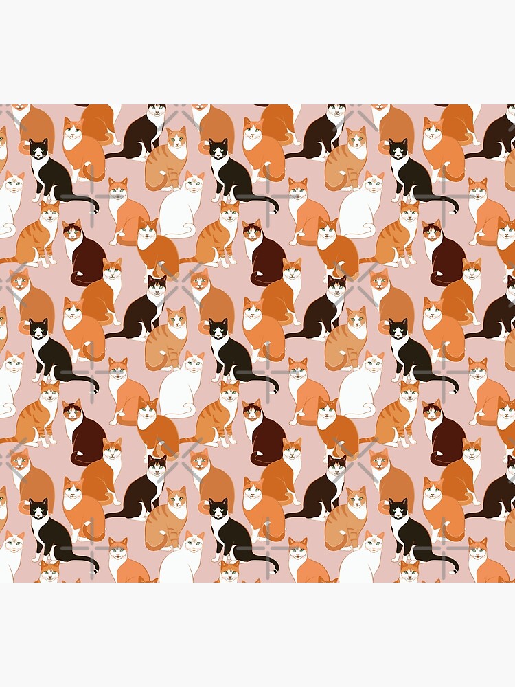 Ginger Cats on pink by nadyanadya