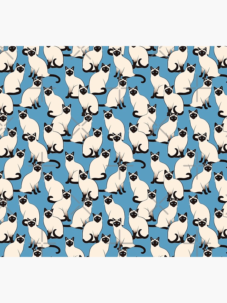 Siamese Cats Looking At You by nadyanadya