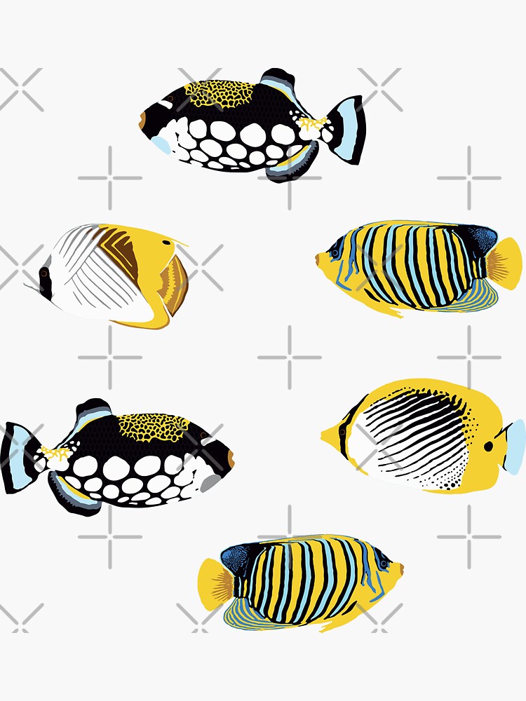 Tropical Fish in water by nadyanadya