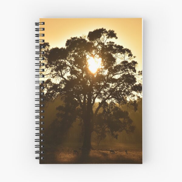 Item preview, Heart in The Sunrise designed and sold by Rainbow Farm Photography.