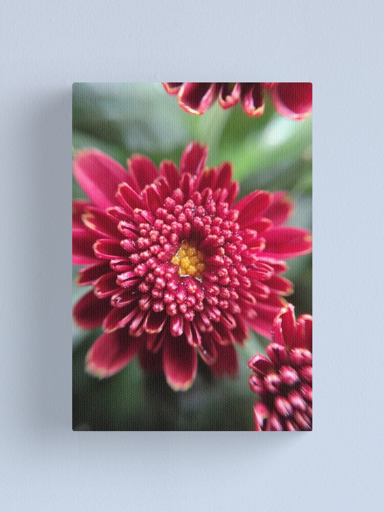 Alternate view of Dew Canvas Print