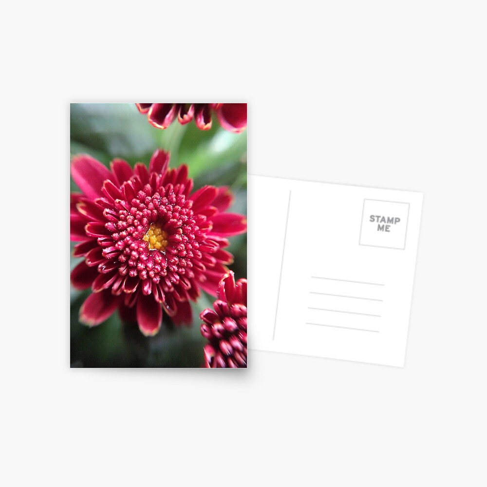 Item preview, Postcard designed and sold by KatieSchutteArt.