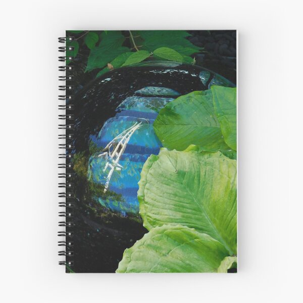 Item preview, Perspective designed and sold by cbellaphoto :).