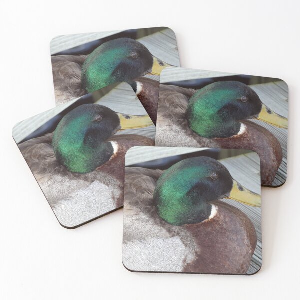 Item preview, A Mallard on the Dock designed and sold by Kimmary.