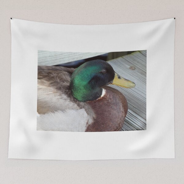 Item preview, A Mallard on the Dock designed and sold by Kimmary.