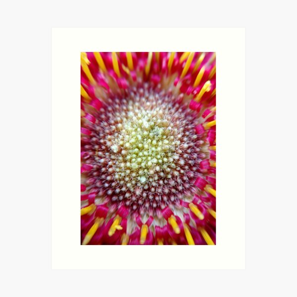 Burst Art Print