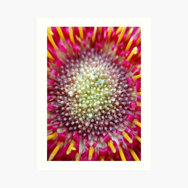 Burst Art Print