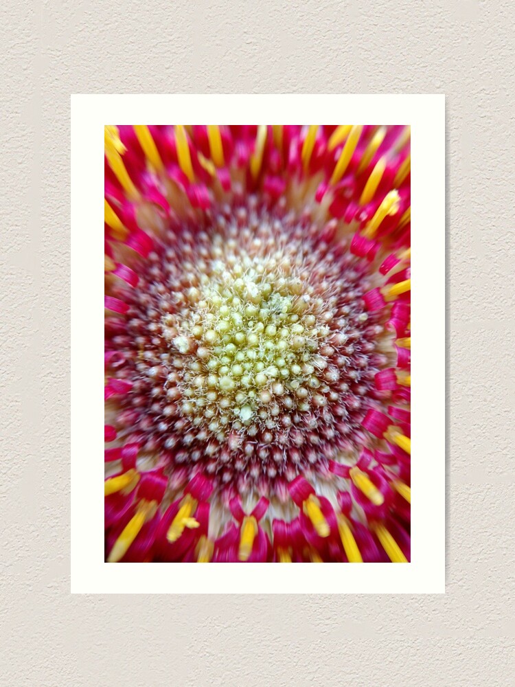 Alternate view of Burst Art Print