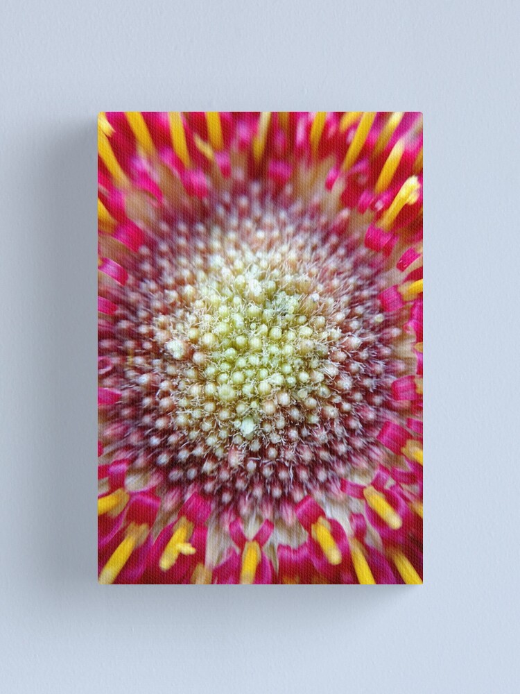 Alternate view of Burst Canvas Print