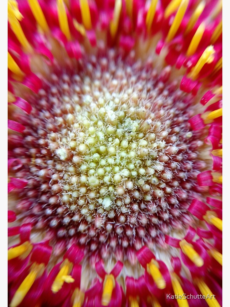 Burst by KatieSchutteArt