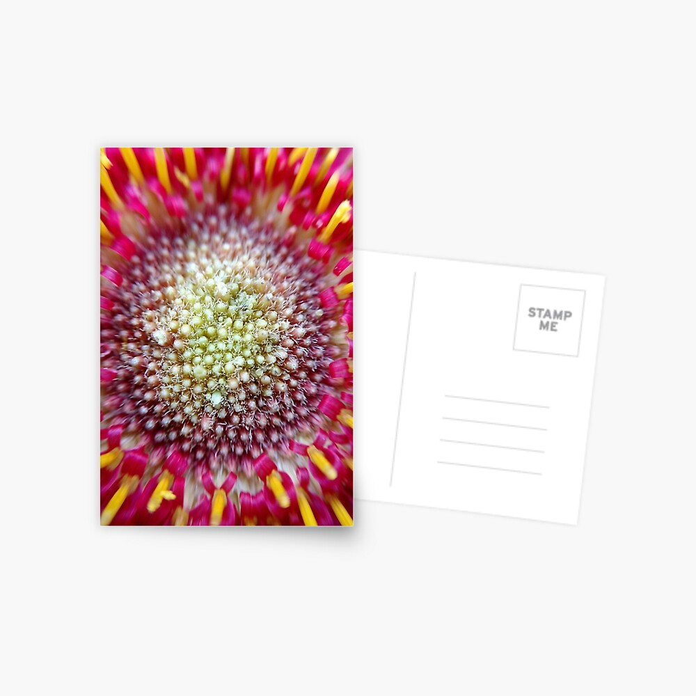 Item preview, Postcard designed and sold by KatieSchutteArt.