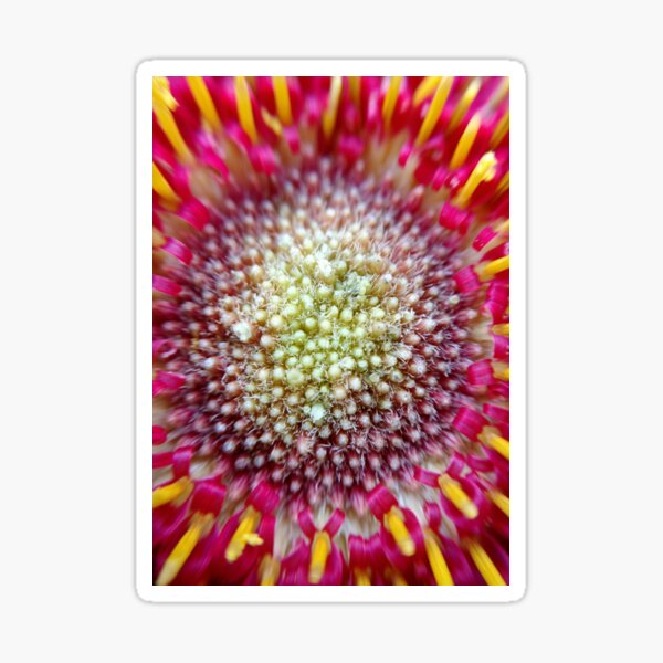 Burst Sticker