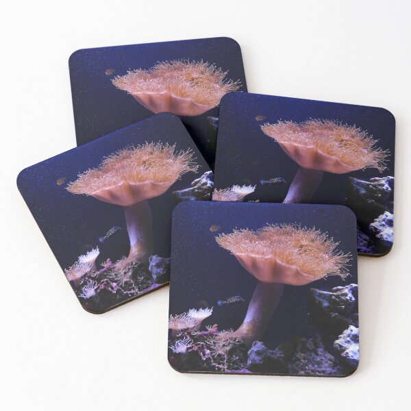 Item preview, Underwater 3 designed and sold by cbellaphoto :).