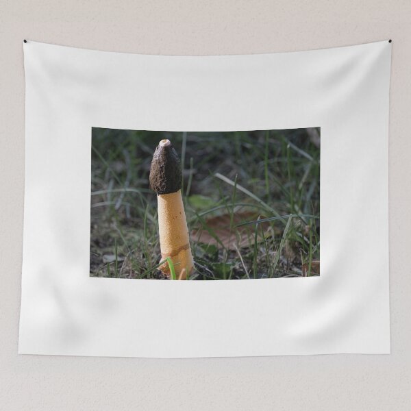 Item preview, Strange Mushroom  designed and sold by barkeypf.