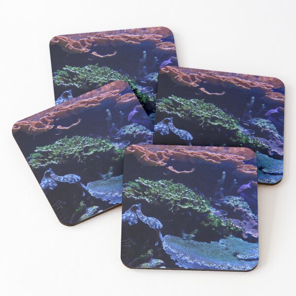 Item preview, Underwater 4 designed and sold by cbellaphoto :).