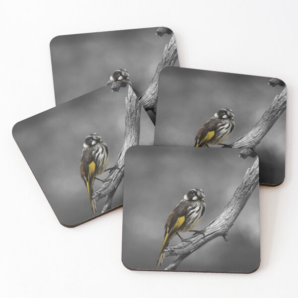 Artikelvorschau, New Holland Honeyeater_20345A entworfen und verkauft von SEADOGPRINTS.