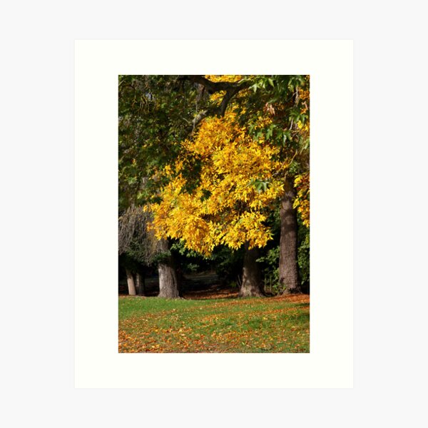 Item preview, ~ Autumn's Way ~ Mylor ~ designed and sold by LeeoPhotography.