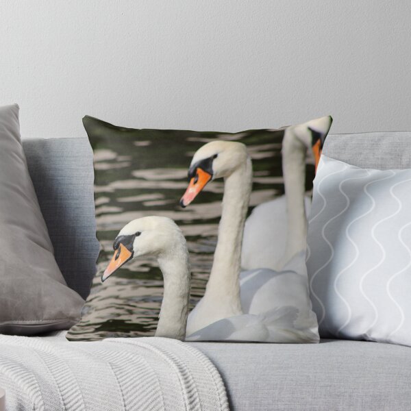 Item preview, Swan Trio designed and sold by GreyFeatherPhot.