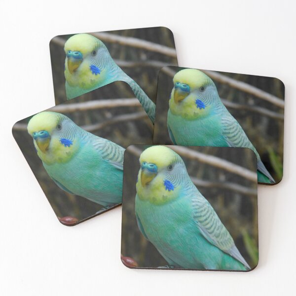 Item preview, Bird 2 designed and sold by cbellaphoto :).