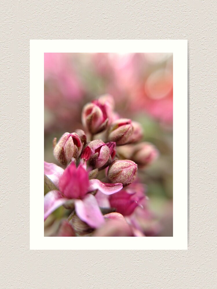 Alternate view of Cluster Buds Art Print