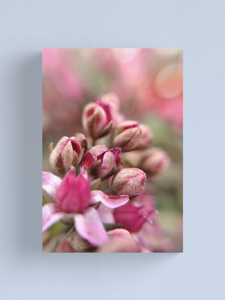 Alternate view of Cluster Buds Canvas Print