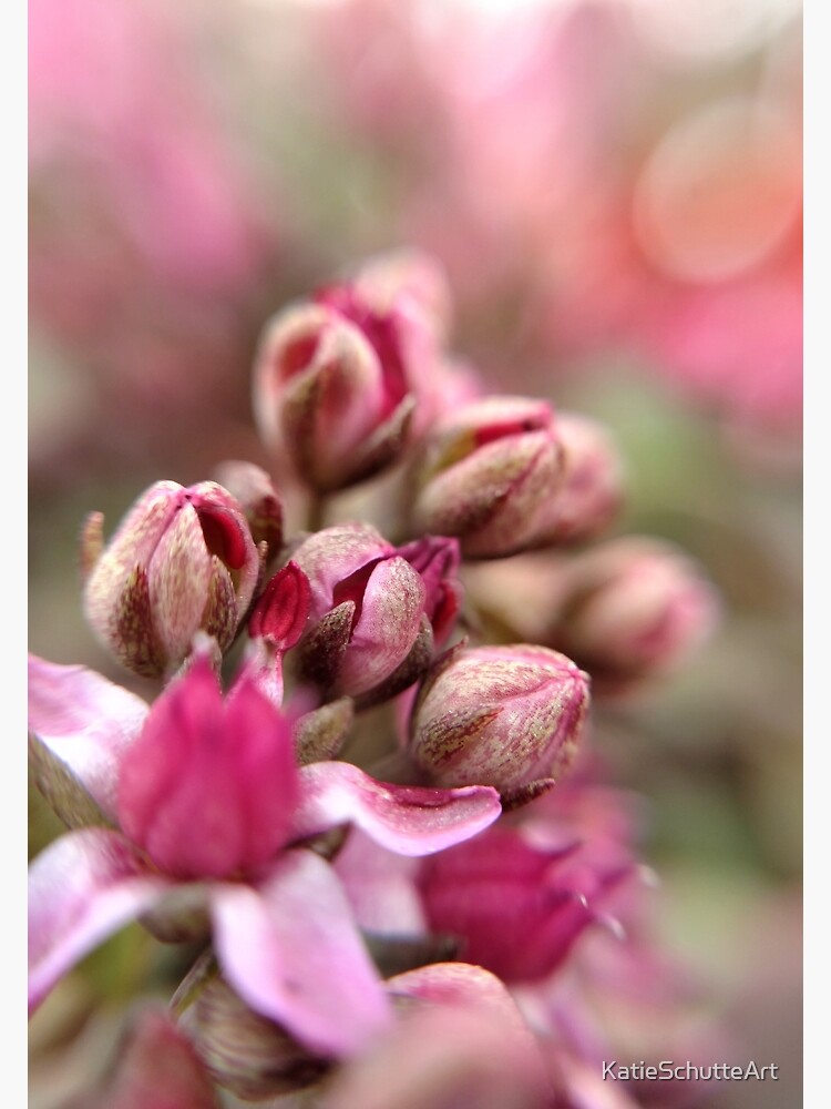 Cluster Buds by KatieSchutteArt
