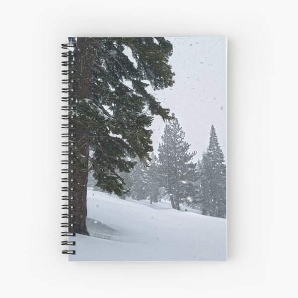 Snowstorm and Forest Spiral Notebook
