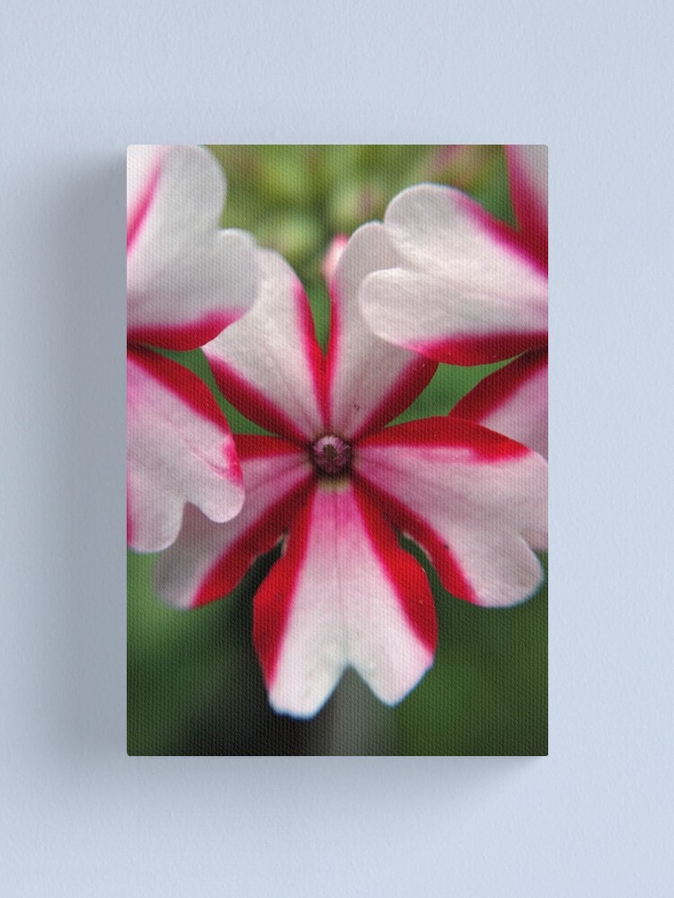 Alternate view of Pink Stripes Canvas Print