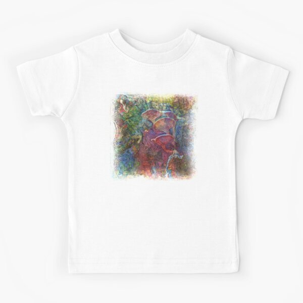 The Atlas Of Dreams - Color Plate 61 Kids T-Shirt