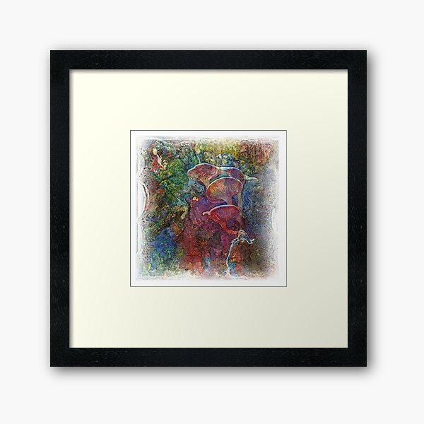 The Atlas Of Dreams - Color Plate 61 Framed Art Print