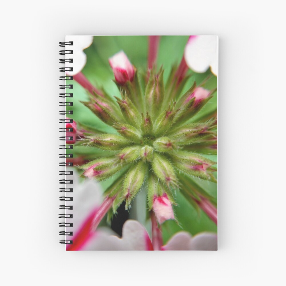 Item preview, Spiral Notebook designed and sold by KatieSchutteArt.