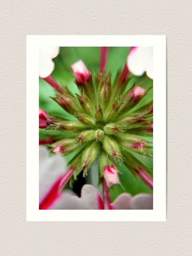 Alternate view of Pink Stripes 2 Art Print