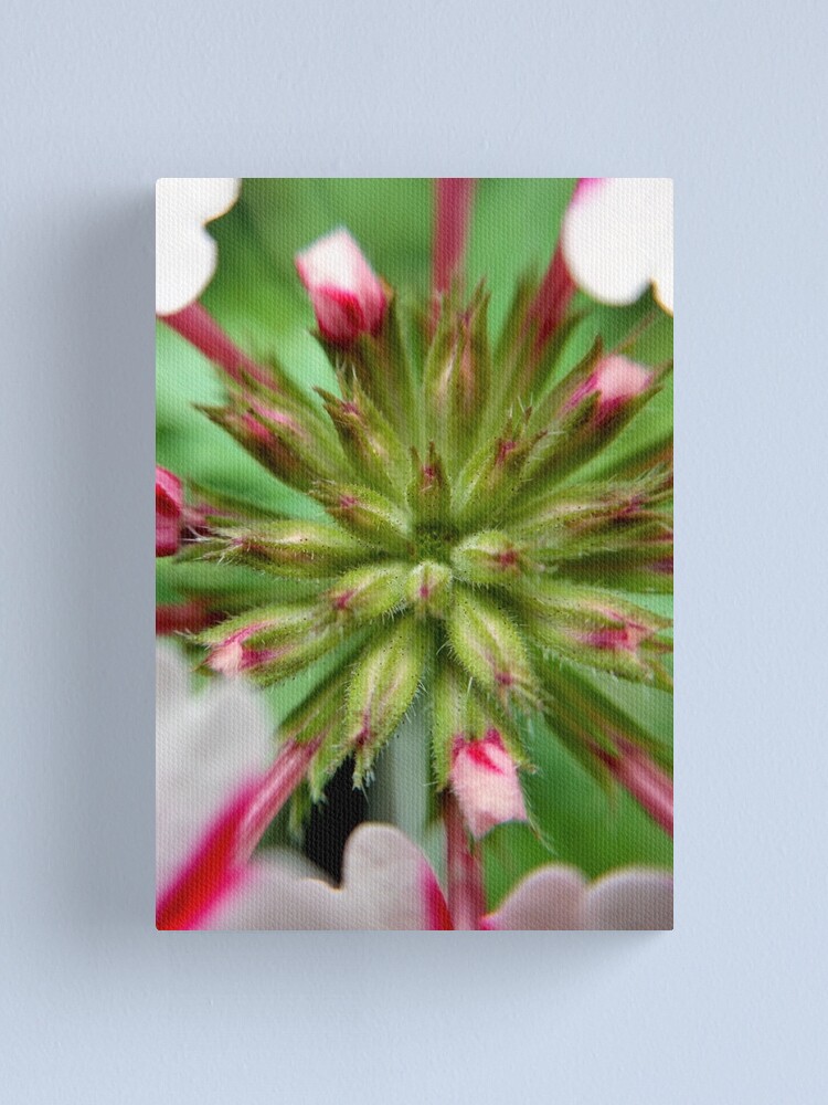 Alternate view of Pink Stripes 2 Canvas Print