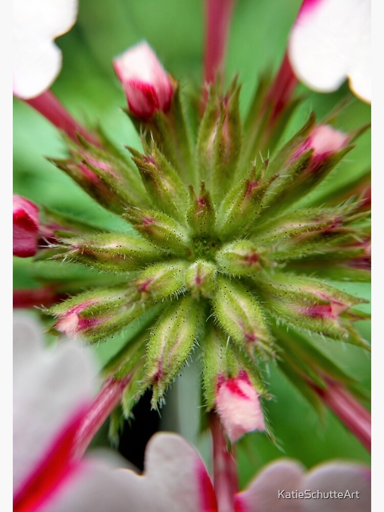 Pink Stripes 2 by KatieSchutteArt