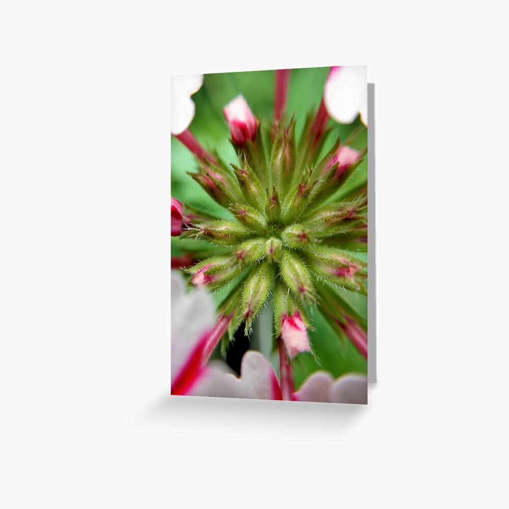 Item preview, Greeting Card designed and sold by KatieSchutteArt.