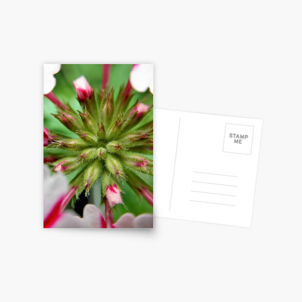 Item preview, Postcard designed and sold by KatieSchutteArt.