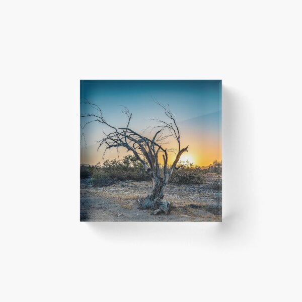 Item preview, Old Tree in the Desert designed and sold by mcrvlife.