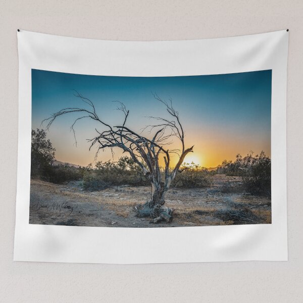 Item preview, Old Tree in the Desert designed and sold by mcrvlife.
